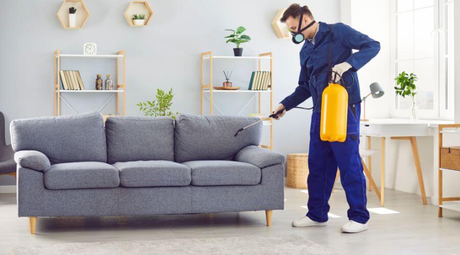 Professional raccoon removal services in Groveton - Raccoon Removal Groveton