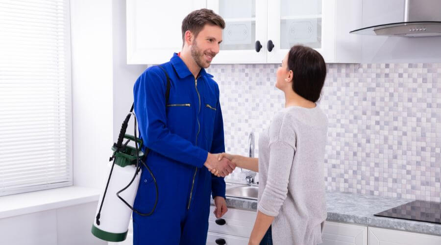 Why choose Raccoon Removal Groveton for raccoon removal in Groveton
